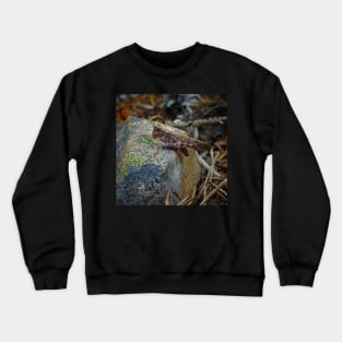 Camouflage Grasshopper Crewneck Sweatshirt